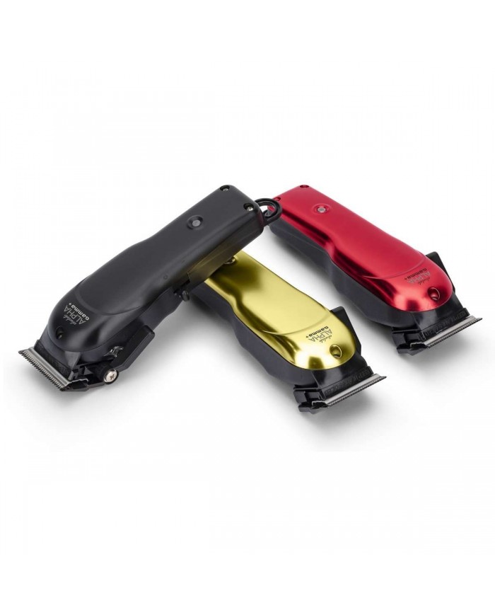 GAMMA+ ABSOLUTE ALPHA