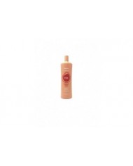 CHAMPÚ CAÍDA ENERGIZING FANOLA VITAMINS