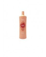CHAMPÚ COLOR LOCKER FANOLA WONDER